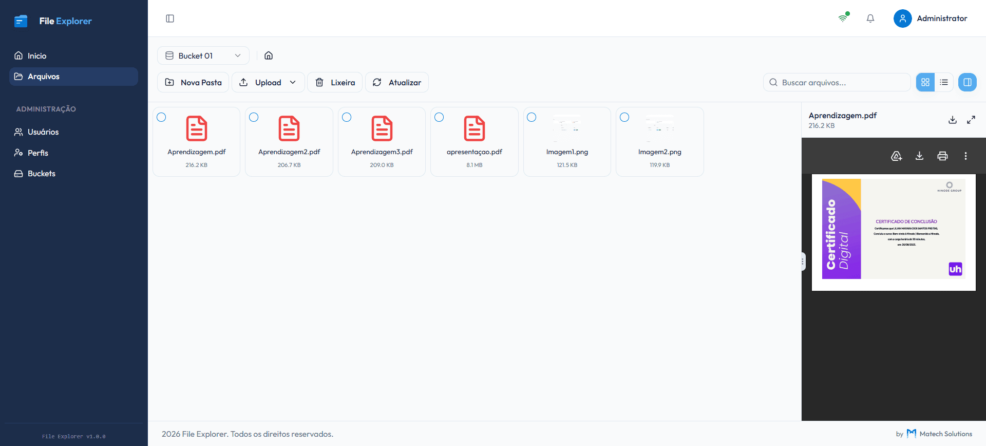 Explorador de arquivos em visualização grid com preview lateral